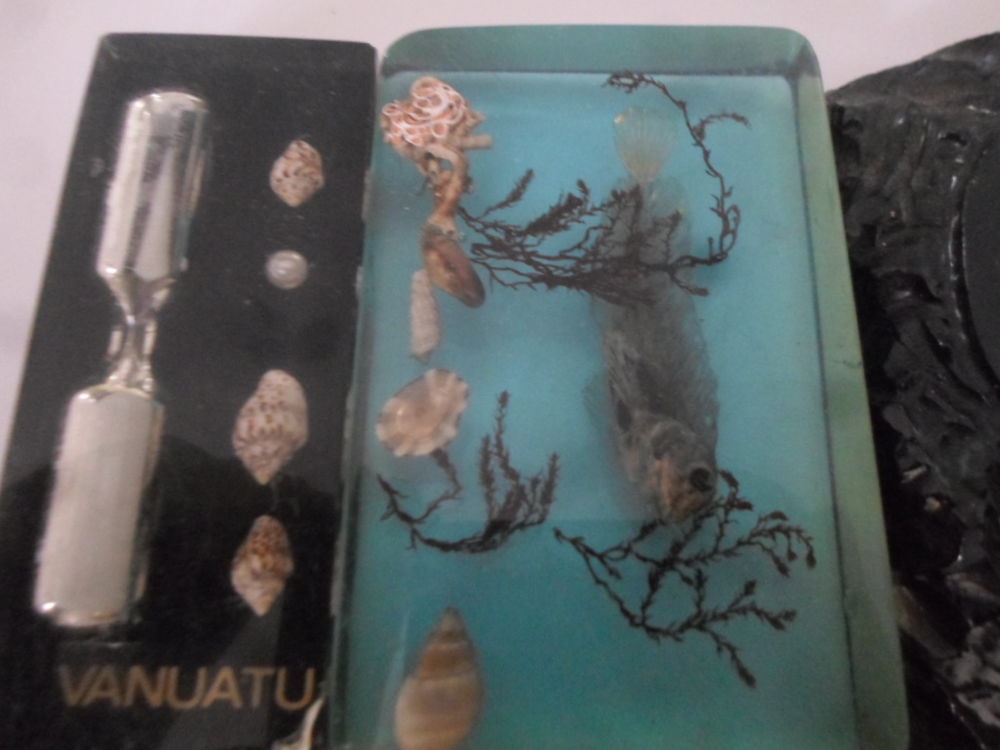lot de 4 sous resine d animaux de la mer 