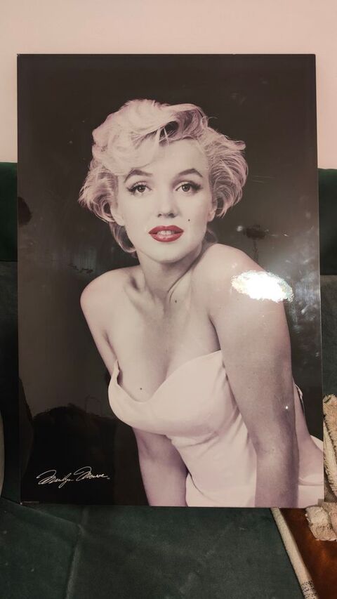 Tableau Marilyn Monroe 20 Paris 12 (75)