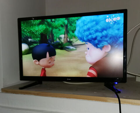 Tl LED Tokay 22'  55cm 80 Lzan (30)