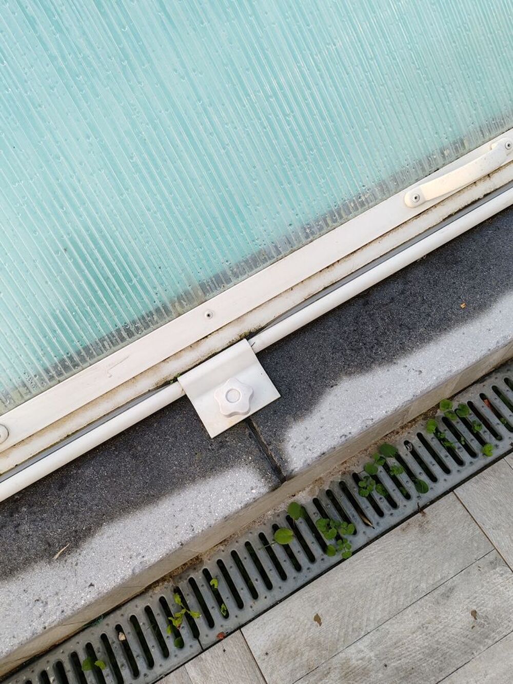 abri piscine abrideal Jardin