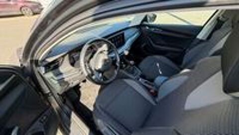 Octavia Combi 2.0 TDI 116 ch Business 2024 occasion 40100 Dax
