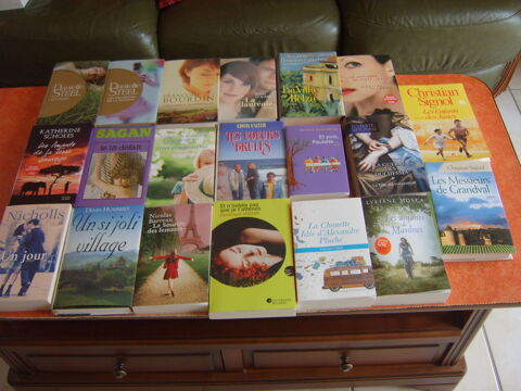 Lot de livres littrature contemporaine et romans 1 Romagnat (63)