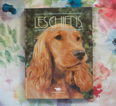 LES CHIENS KALEIDOSCOPE Ed. de l'OURS 3 Bubry (56)