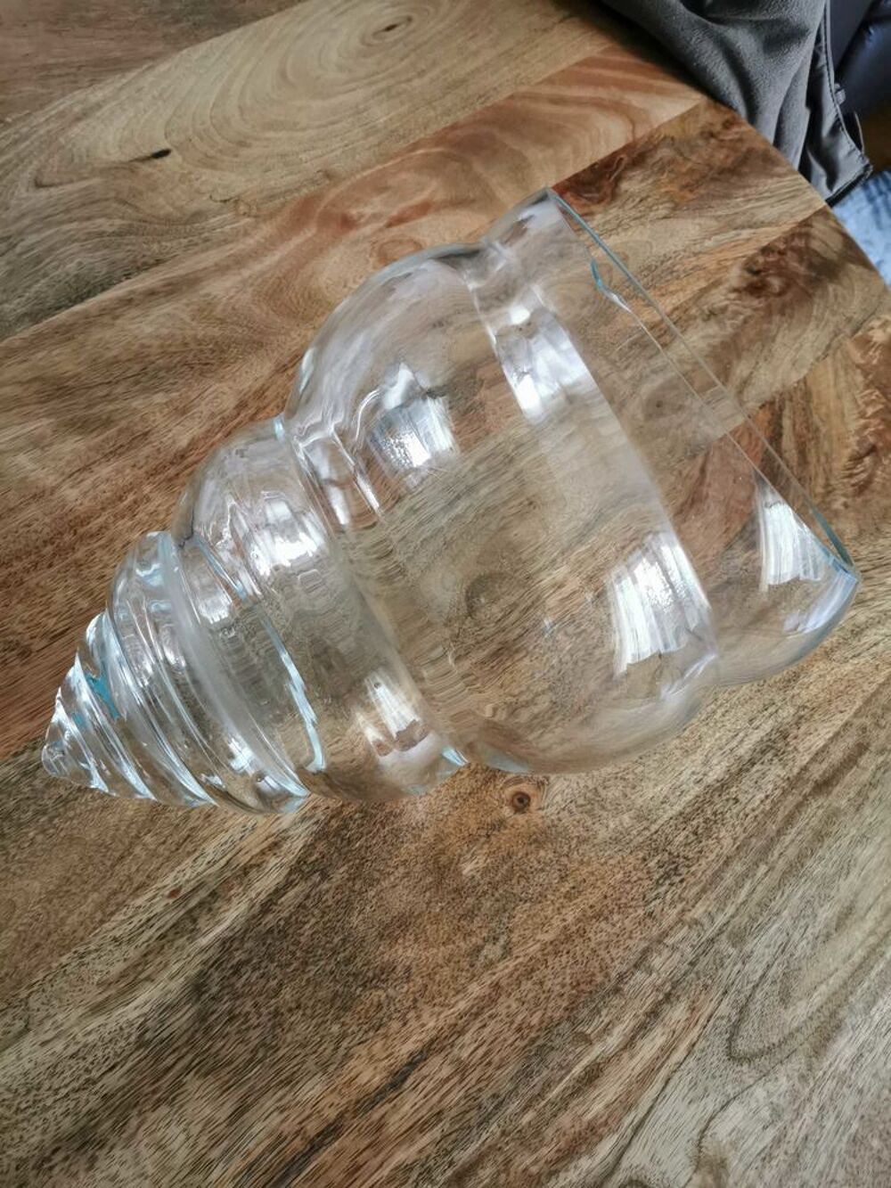 Lot grand vase original forme coquillage + livre Terrarium Décoration