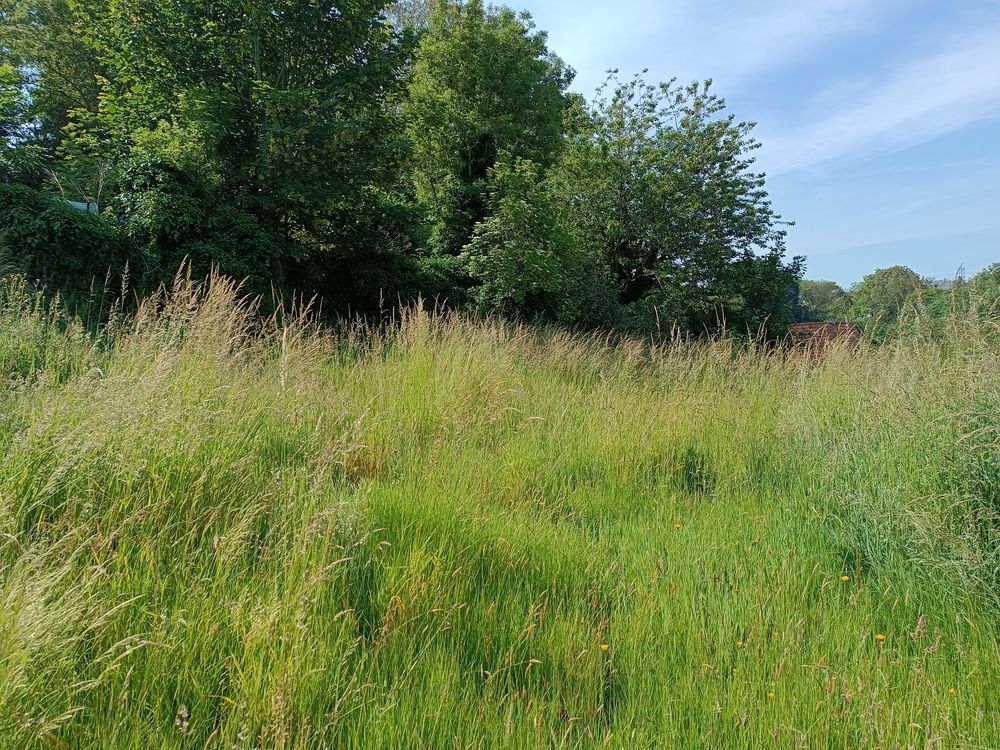 Vente Terrain SAINT VALERY EN CAUX, TERRAIN 915 m2 Saint-valery-en-caux