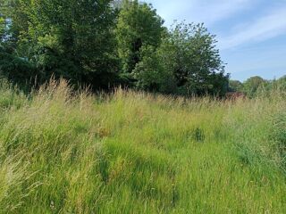  Terrain à vendre 915 m²