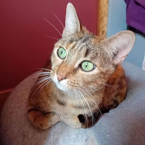 NINA* 1 07000 Privas