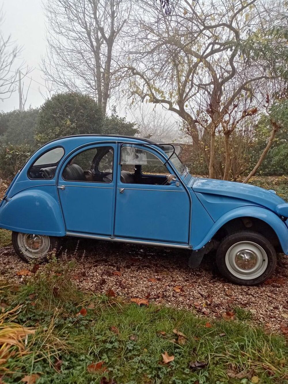 2 CV - Dyane 2 CV 6 Special 1978 occasion 82800 N&egrave;grepelisse