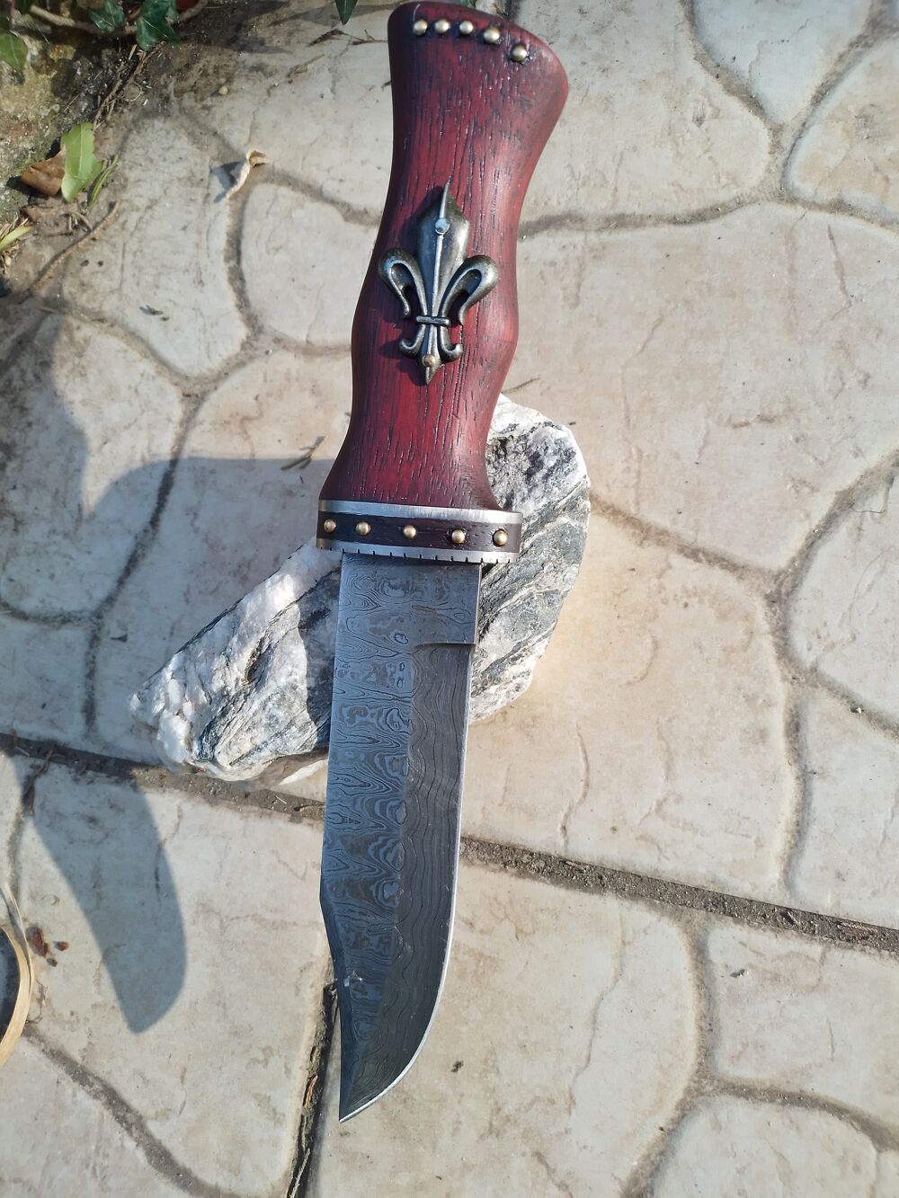 Couteau fixe damas authentique collection 