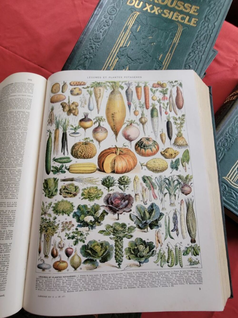 Larousse du XXeme Siecle Livres et BD