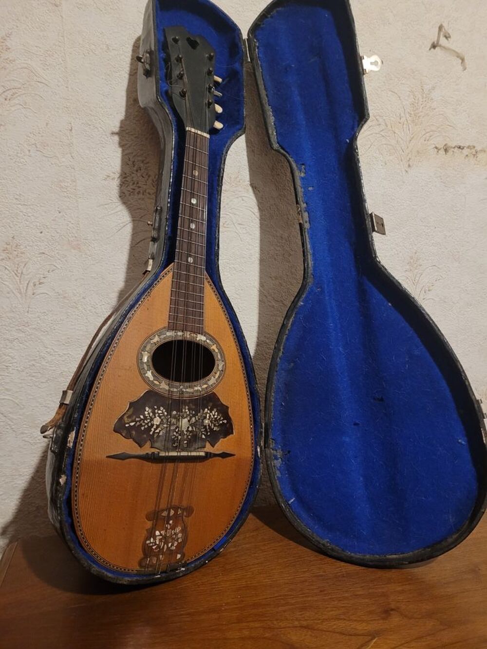 Mandoline Instruments de musique