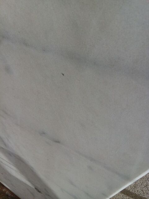 Dessus de table de bistrot ovale marbre de Carrare  25 Marseille 9 (13)