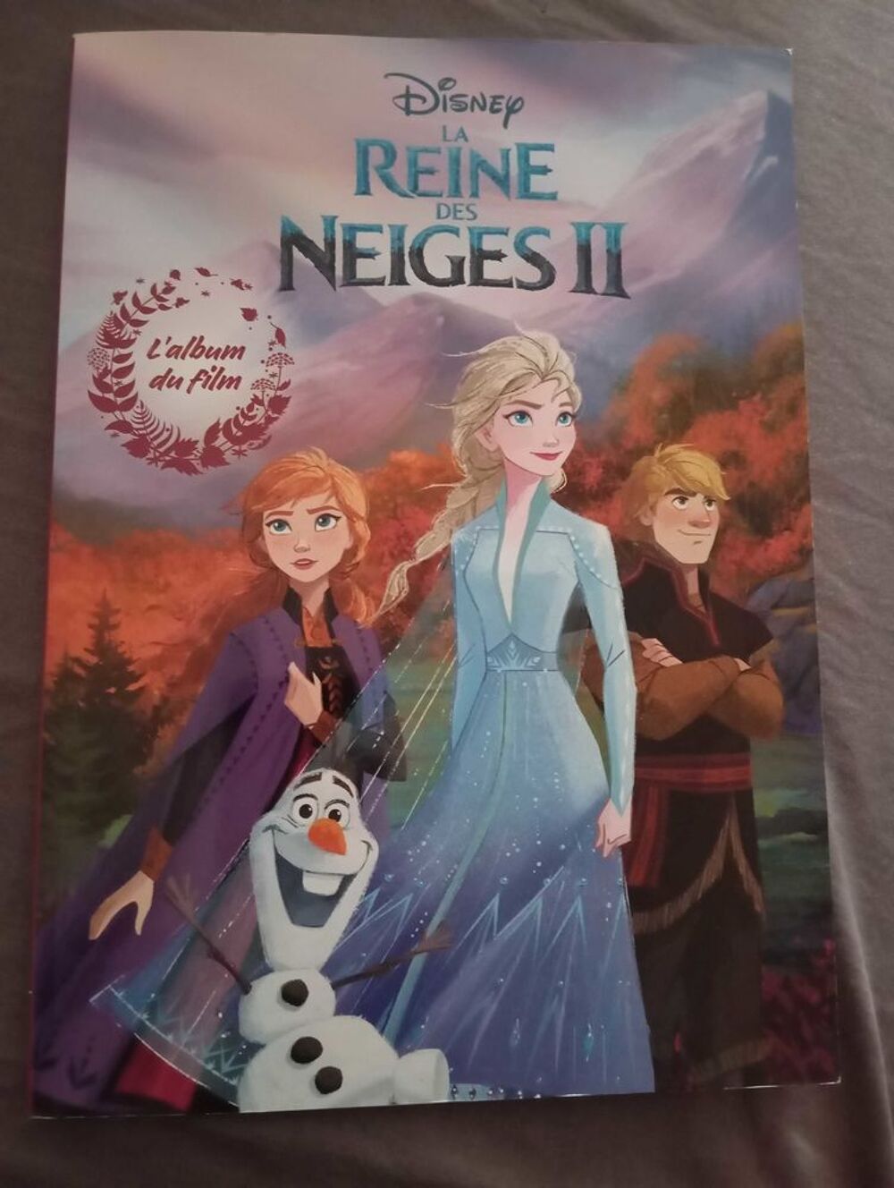 livre la reine des neiges 2 Livres et BD