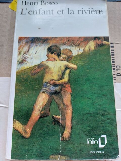 roman 1 Beauquesne (80)