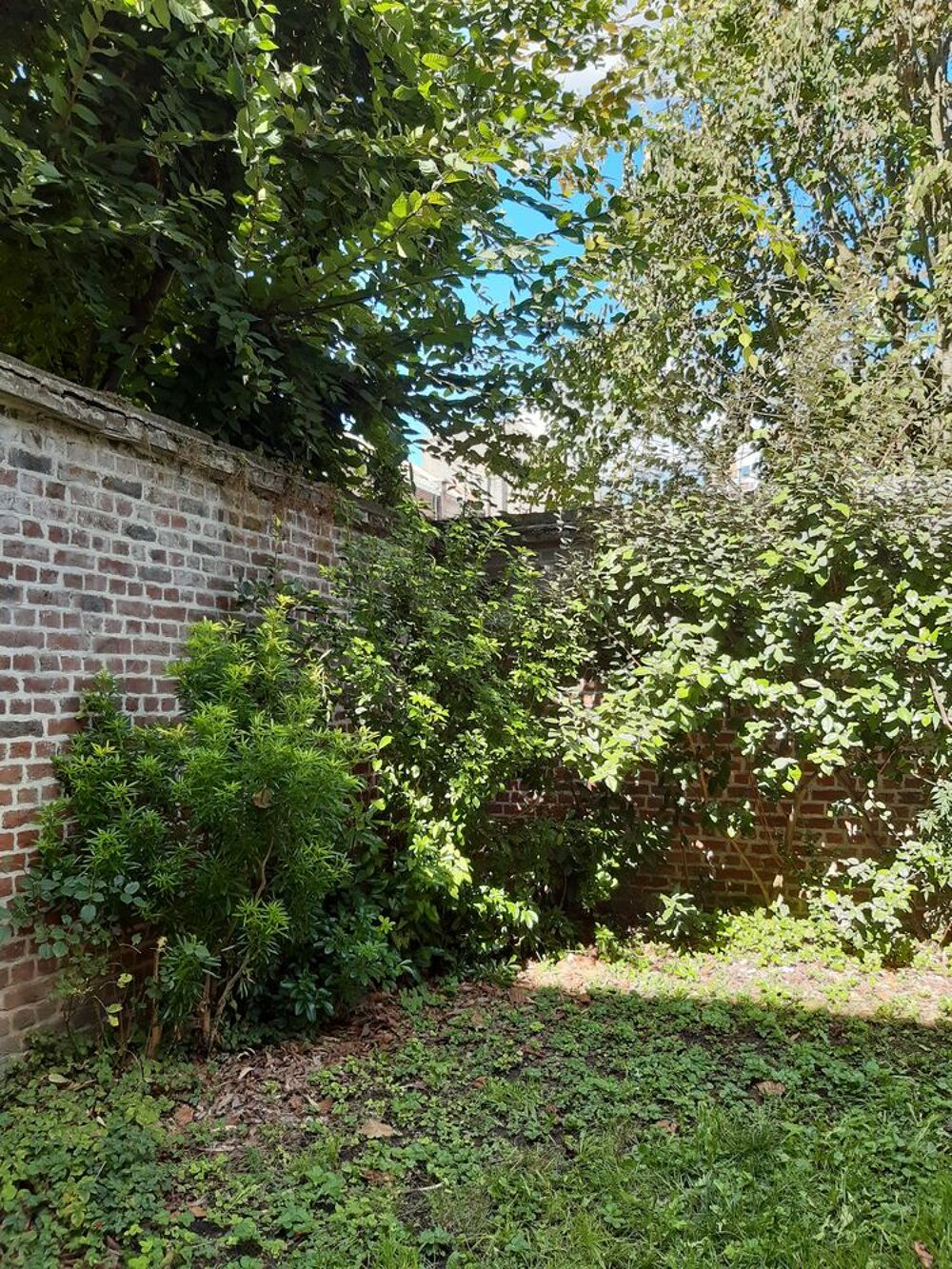 Vente Appartement Lille Centre, Type 3 avec jardin. Lille
