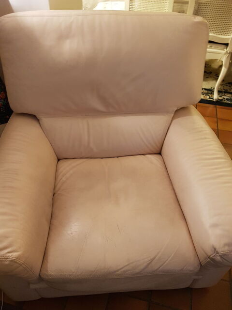 fauteuil cuir beige  100 Dreux (28)