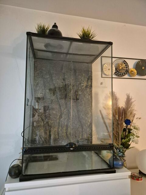 grand terrarium à  vendre prix négociable dans la limite du raisonnable 0 94420 Le plessis-trvise
