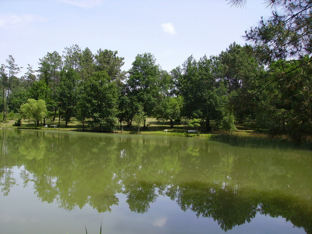   GITES EN PÉRIGORD.ANIMAUX ACC.WIFI ÉTANG DE PÊCHE Vacances  / Offres de location 