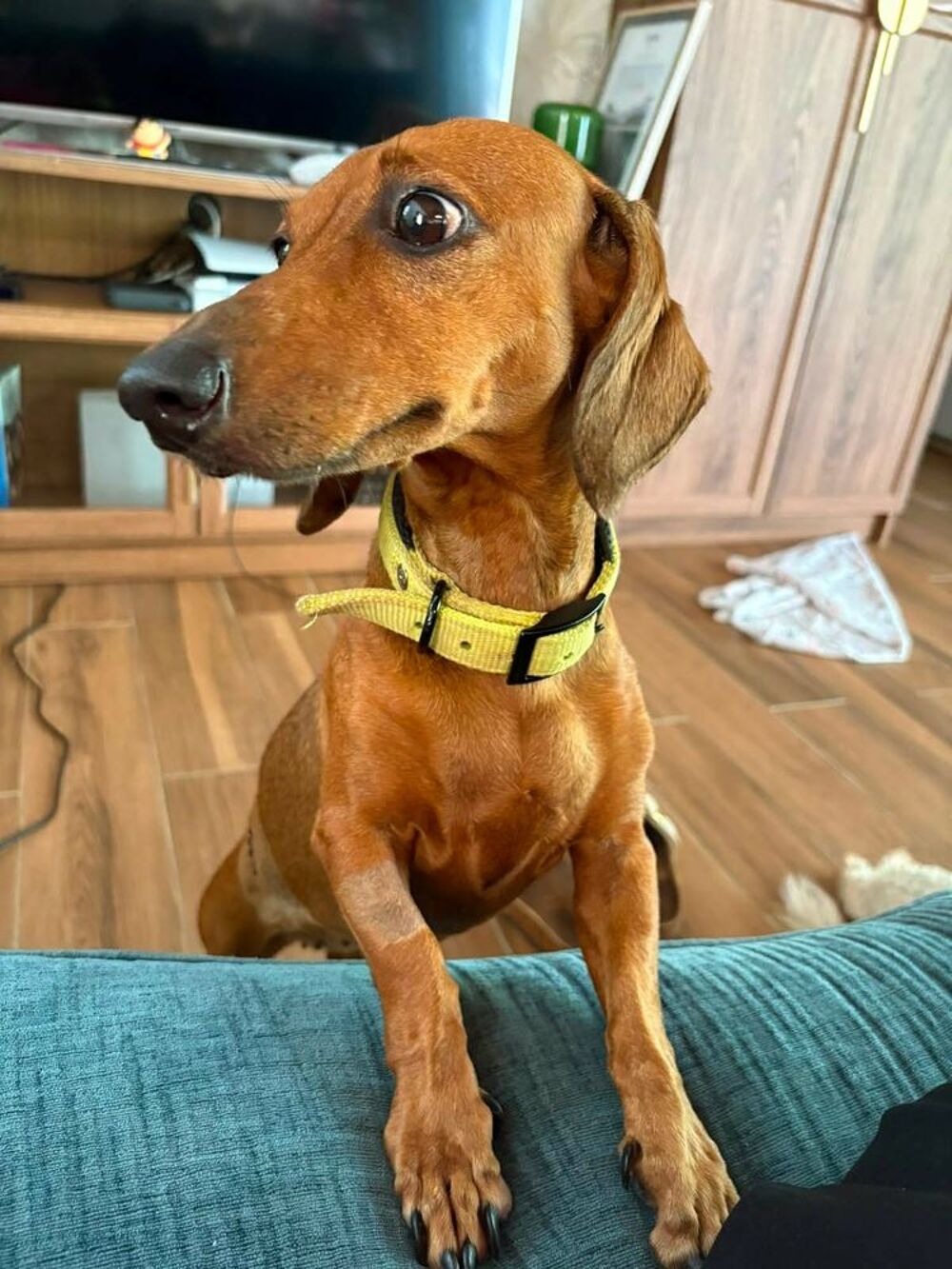   winnie la belle vie 