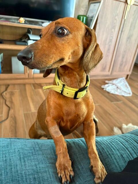 winnie la belle vie 350 92300 Levallois-perret