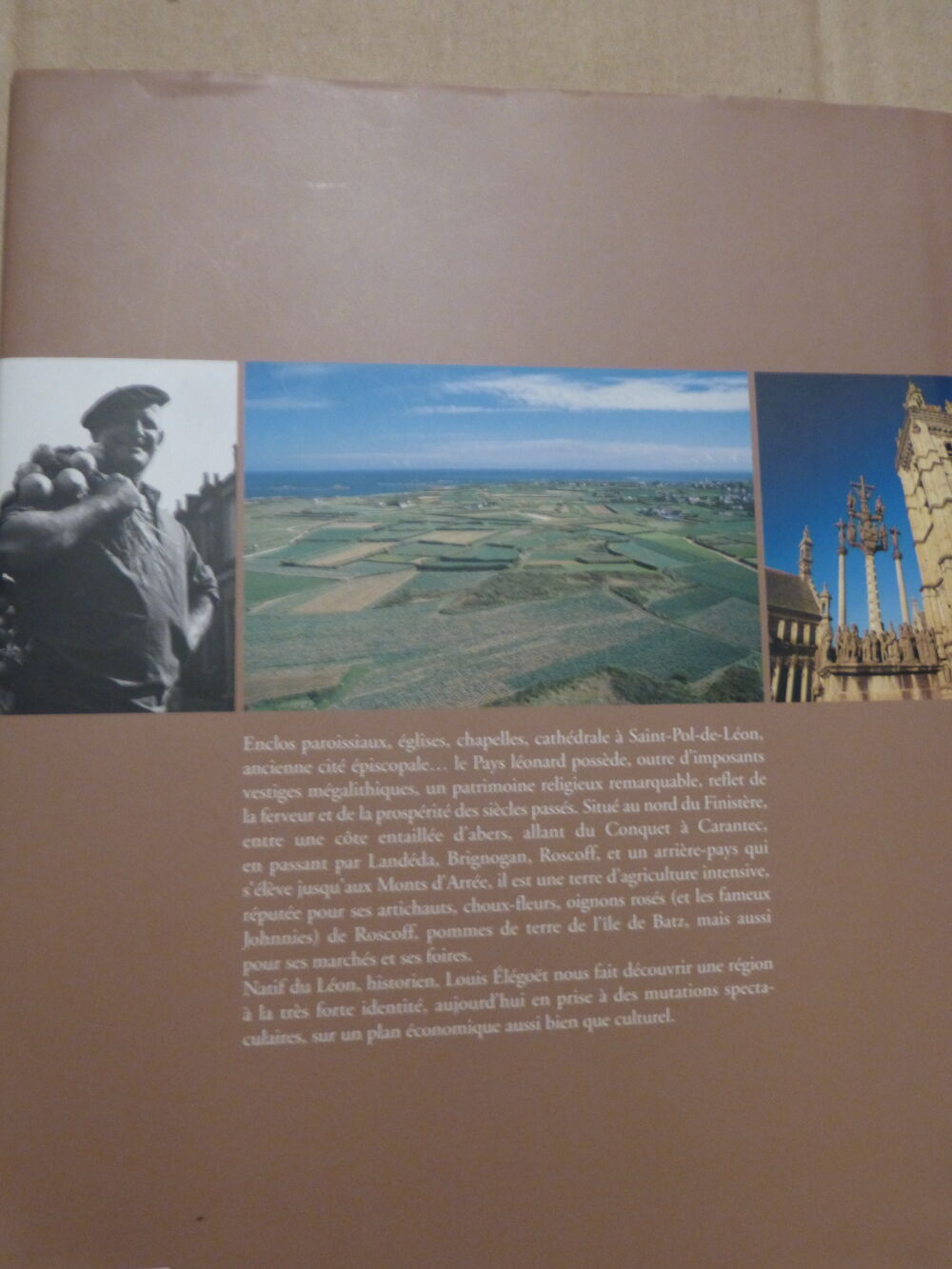 LE LEON HISTOIRE ET GEOGRAPHIE CONTEMPORAINE Livres et BD