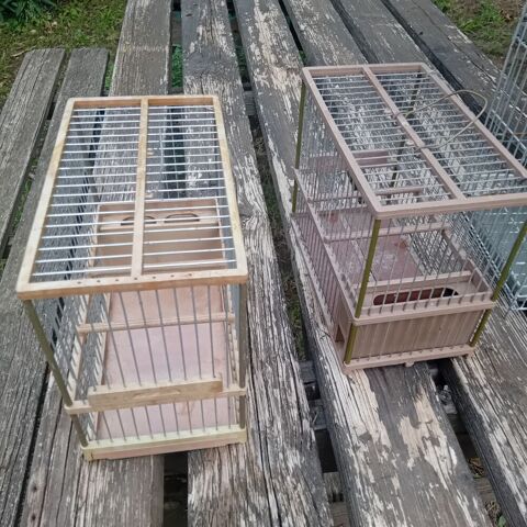 Cage de transport 40 66320 Vinça
