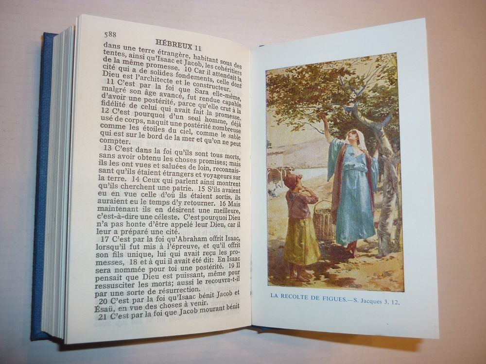 "LE NOUVEAU TESTAMENT" de Louis SEGOND Format poche couleurs Livres et BD