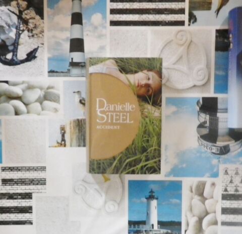 ROMAN ACCIDENT de Danielle STEEL 5 Bubry (56)