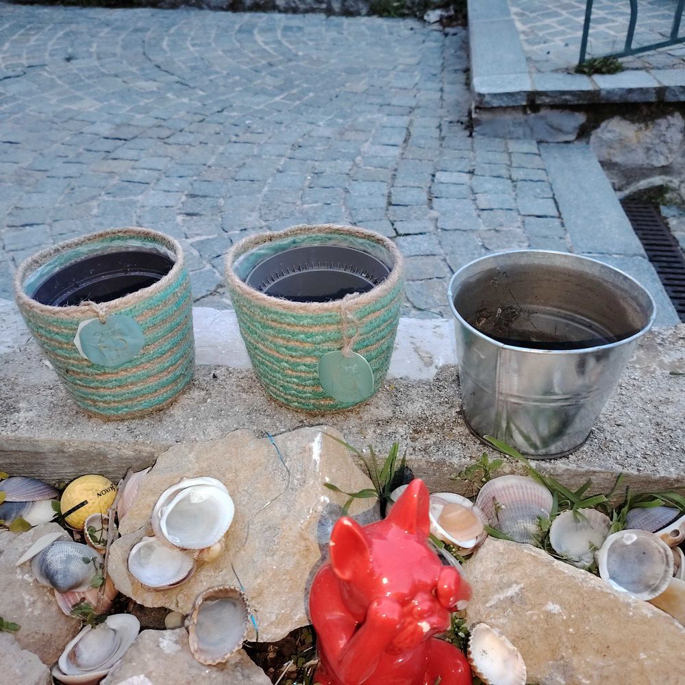 CACHE POT ET POTS Décoration