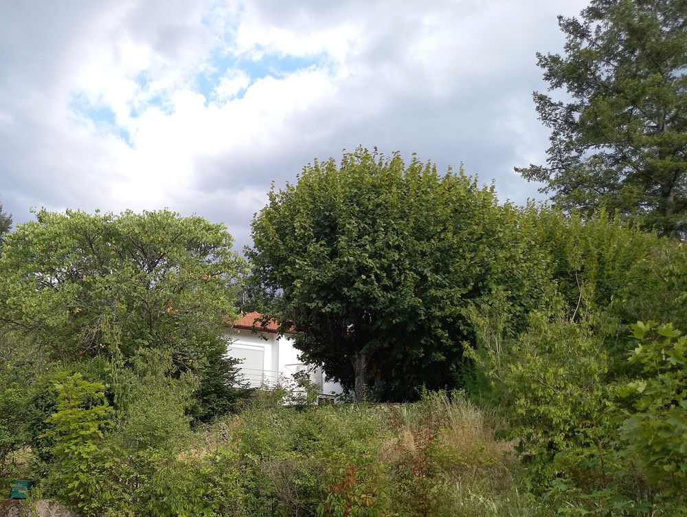 Vente Maison Exceptionnel maison Val D'oingt Le bois-d'oingt