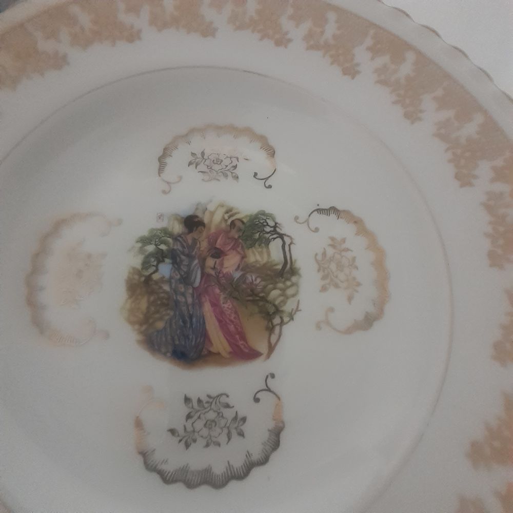 6 Assiette Creuse Porcelaine De Limoges Cuisine