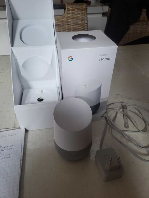 Google home Feuchy (62)