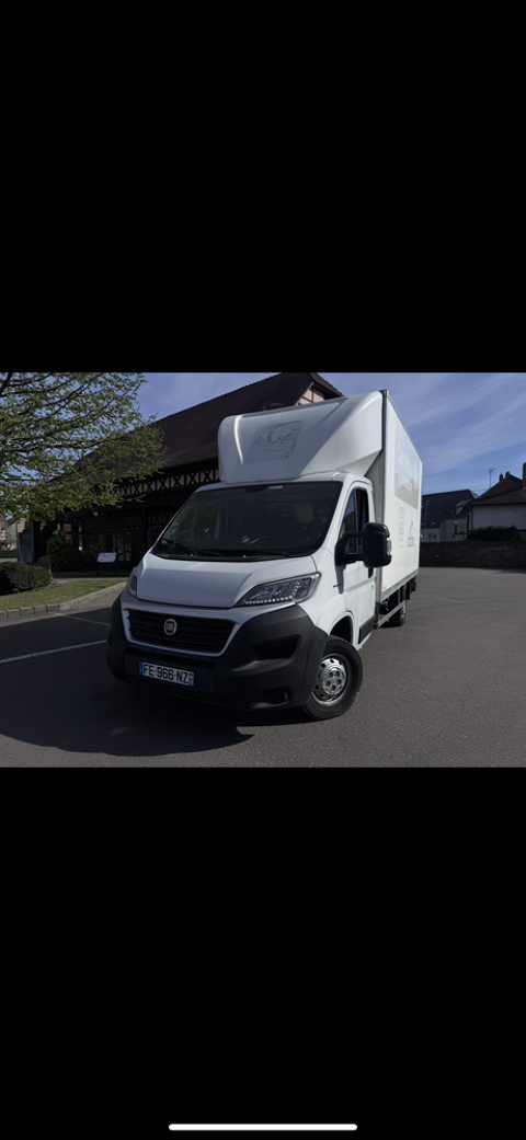 Fiat Ducato Hayon 2019 occasion Gerstheim 67150