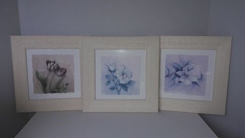 Ensemble 3 tableaux de fleurs (le lot) 20 Metz (57)