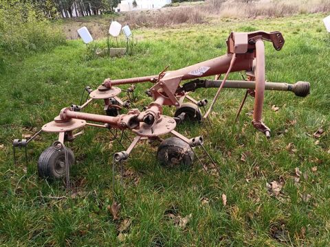 Faneuse  khun Montfavet (84)