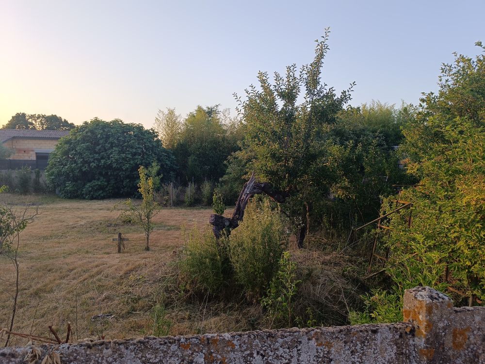 Vente Terrain Rare terrain constructible  Saint-Didier-sur-Chalar Saint-didier-sur-chalaronne