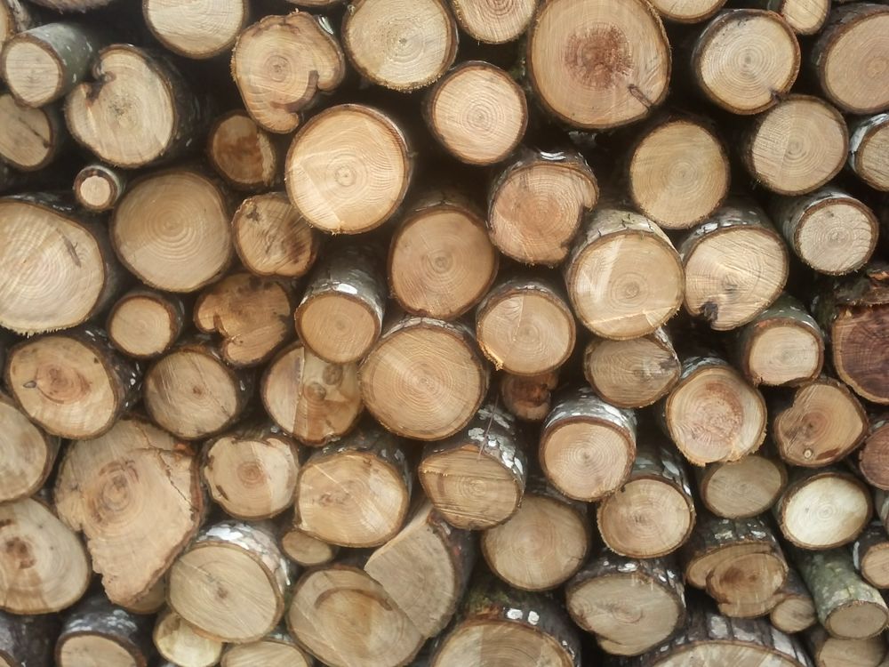 Bois de chauffage Jardin