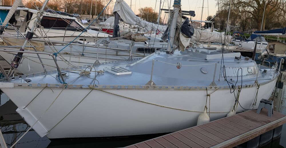 Monocoque 1985 occasion 17300 Rochefort