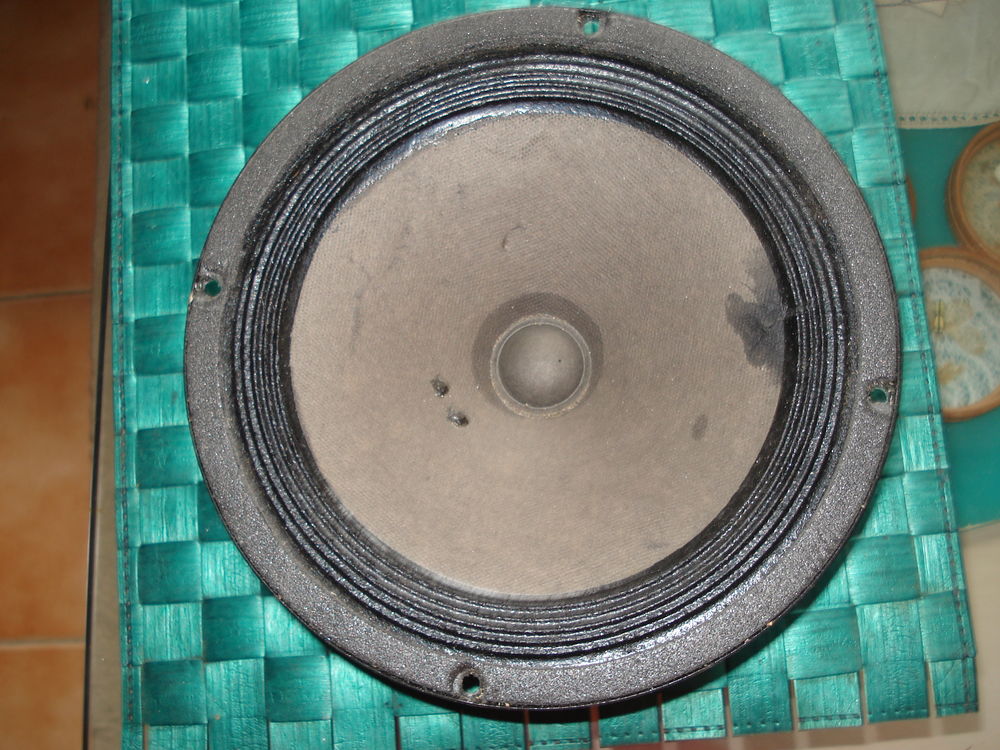 Haut-parleur BOOMER SIARE 21 CM vintage Audio et hifi