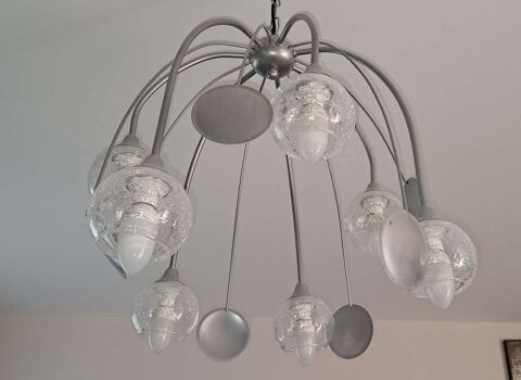 Lustre 10 Pusignan (69)