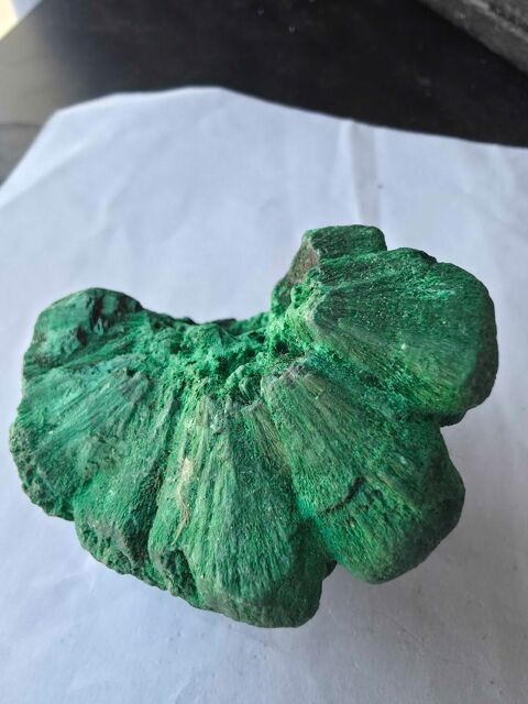 Rare Malachite Fibreuse Veloutée Katanga RDC-Collection 193g 35 Bagneux (92)