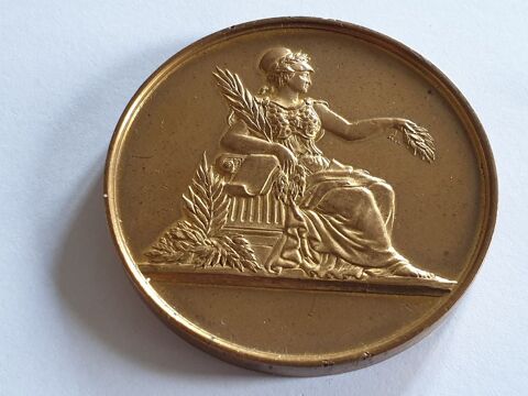 Médaille Académie du Progrès National 1894 45 Bordeaux (33)