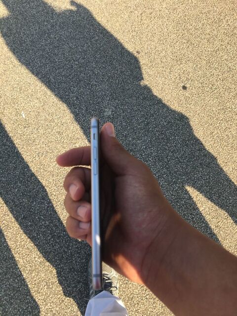 iPhone 6s 64go Loures-Barousse (65)