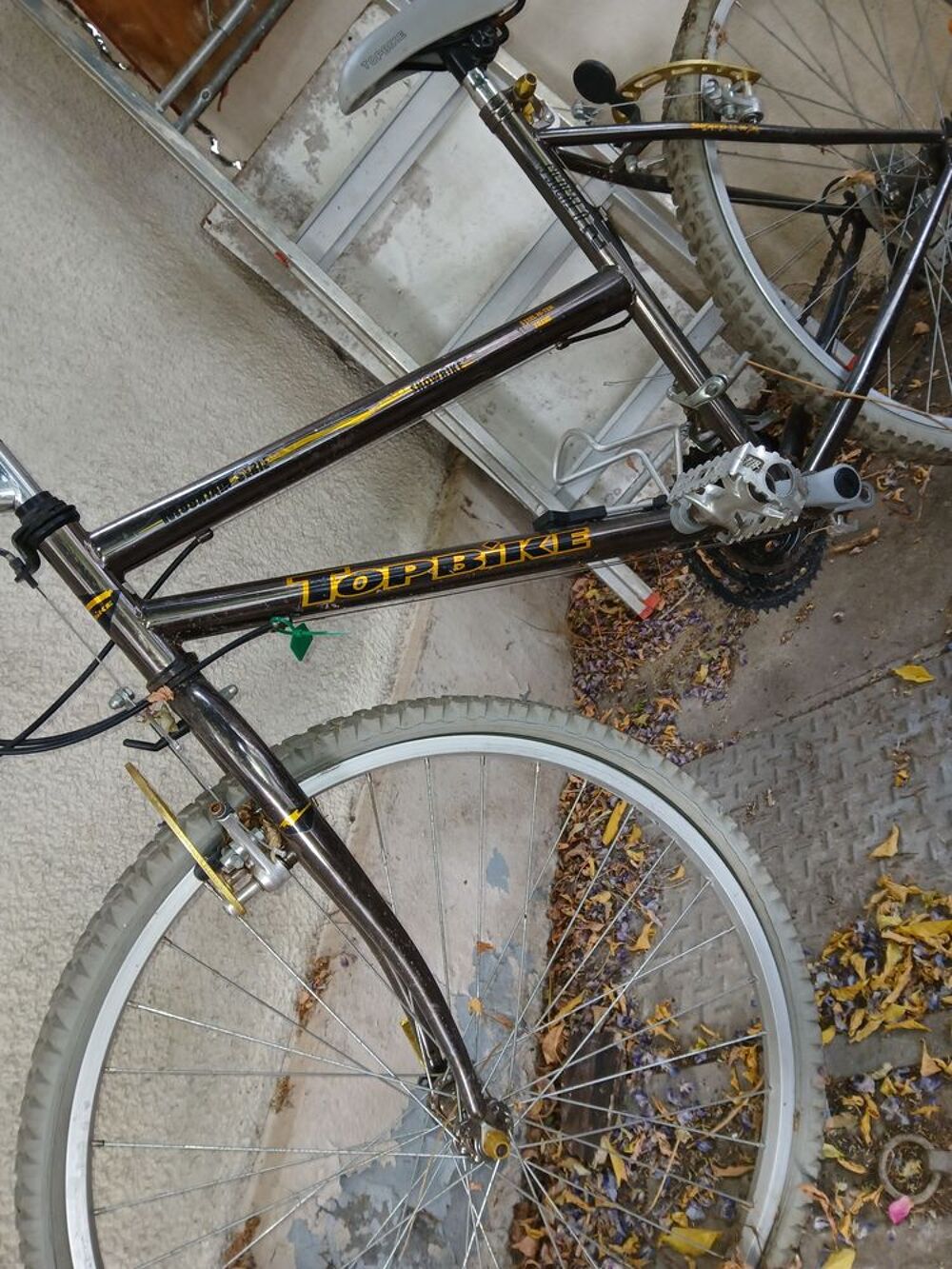 VTT Topbike....
21 vitesses...
45 euros Sports