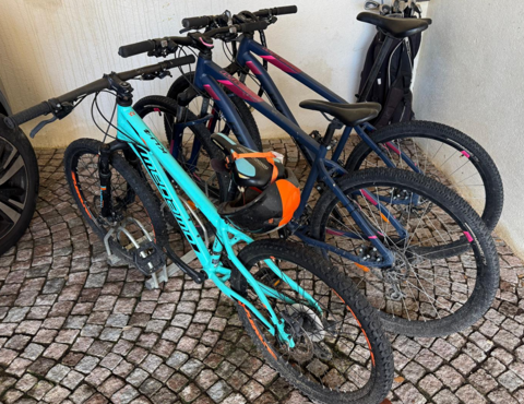 3 Velos  décathlon - 2 adultes et 1 enfant La Colle-sur-Loup (06)