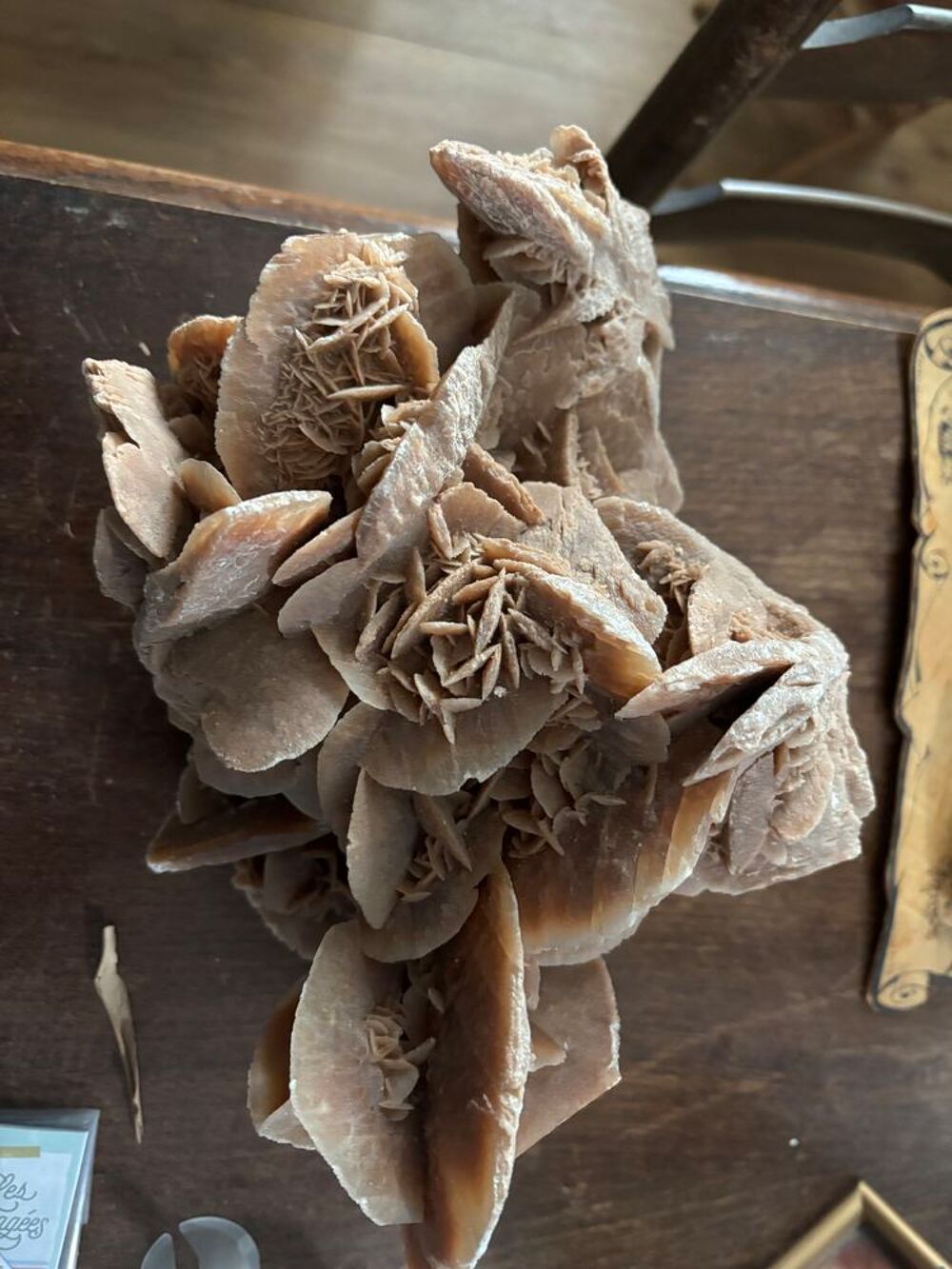 GRANDE FORMATION CRISTALLINE DE ROSE DES DESERTS EN GYPSE ET 