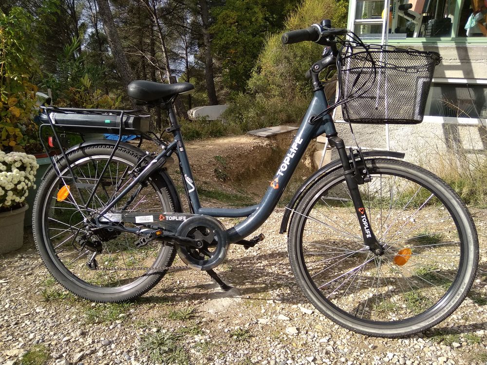 Toplife on sale electric bike