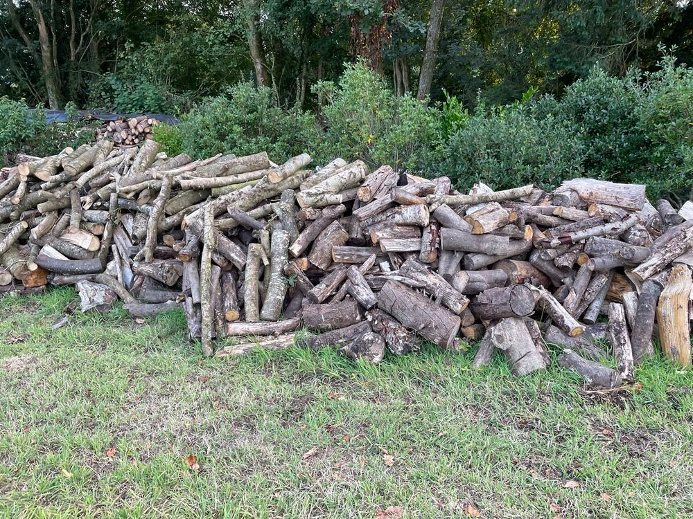 bois de chauffage Jardin