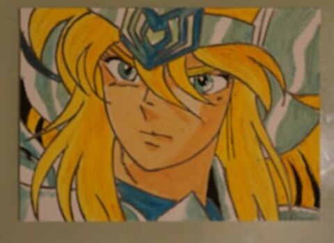 peinture - saint seiya - chevalier du zodiaque - 64  - forma Fougères (35)