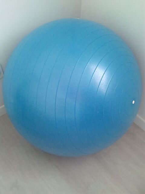 Ballon de gymnastique 5 Carbon-Blanc (33)